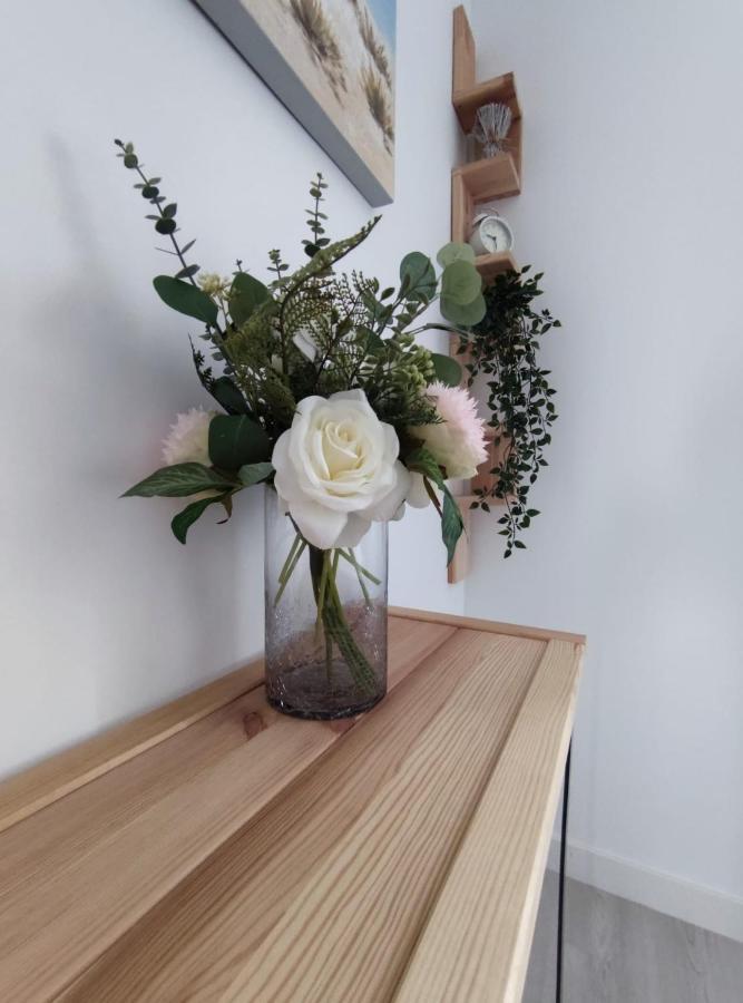 Apartamento En Alicante La Casa Azul Santa Faz エクステリア 写真